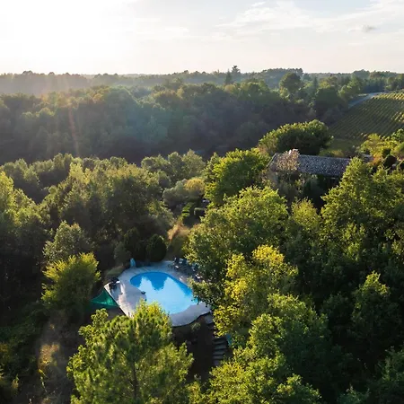 Les Hauts De Jeanvert - Le Cedre - Piscine - Gaillac