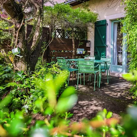 Les Hauts De Jeanvert - Le Cedre - Piscine - * Gaillac