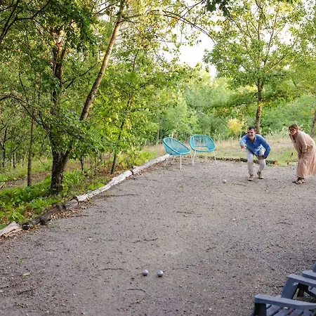 Les Hauts De Jeanvert - Le Cedre - Piscine - * Gaillac